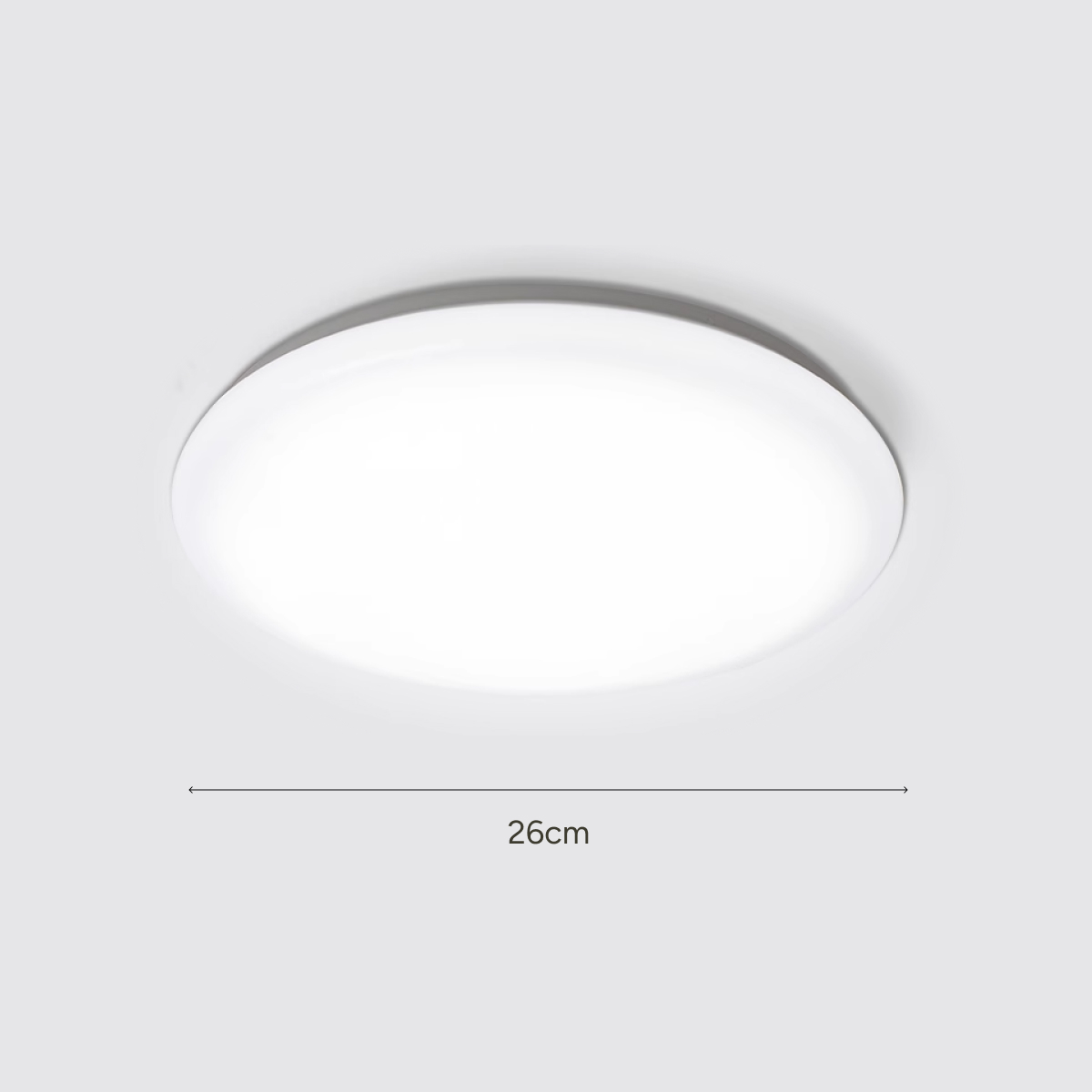 26cm Dome Ceiling Light 12W (White)