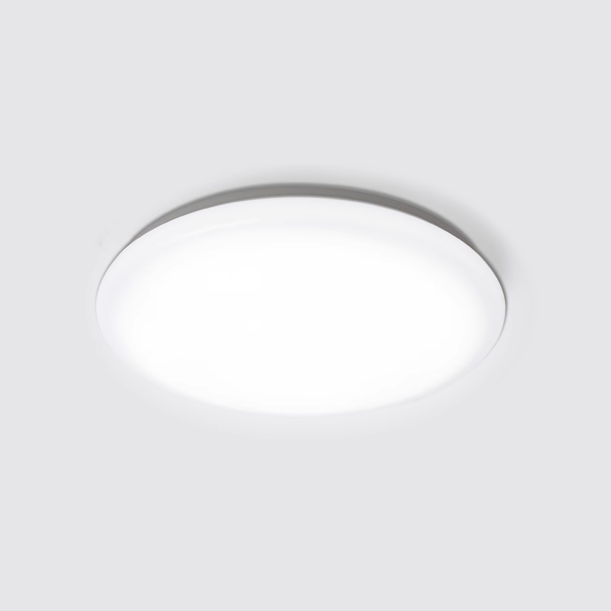 26cm Dome Ceiling Light 12W (White)